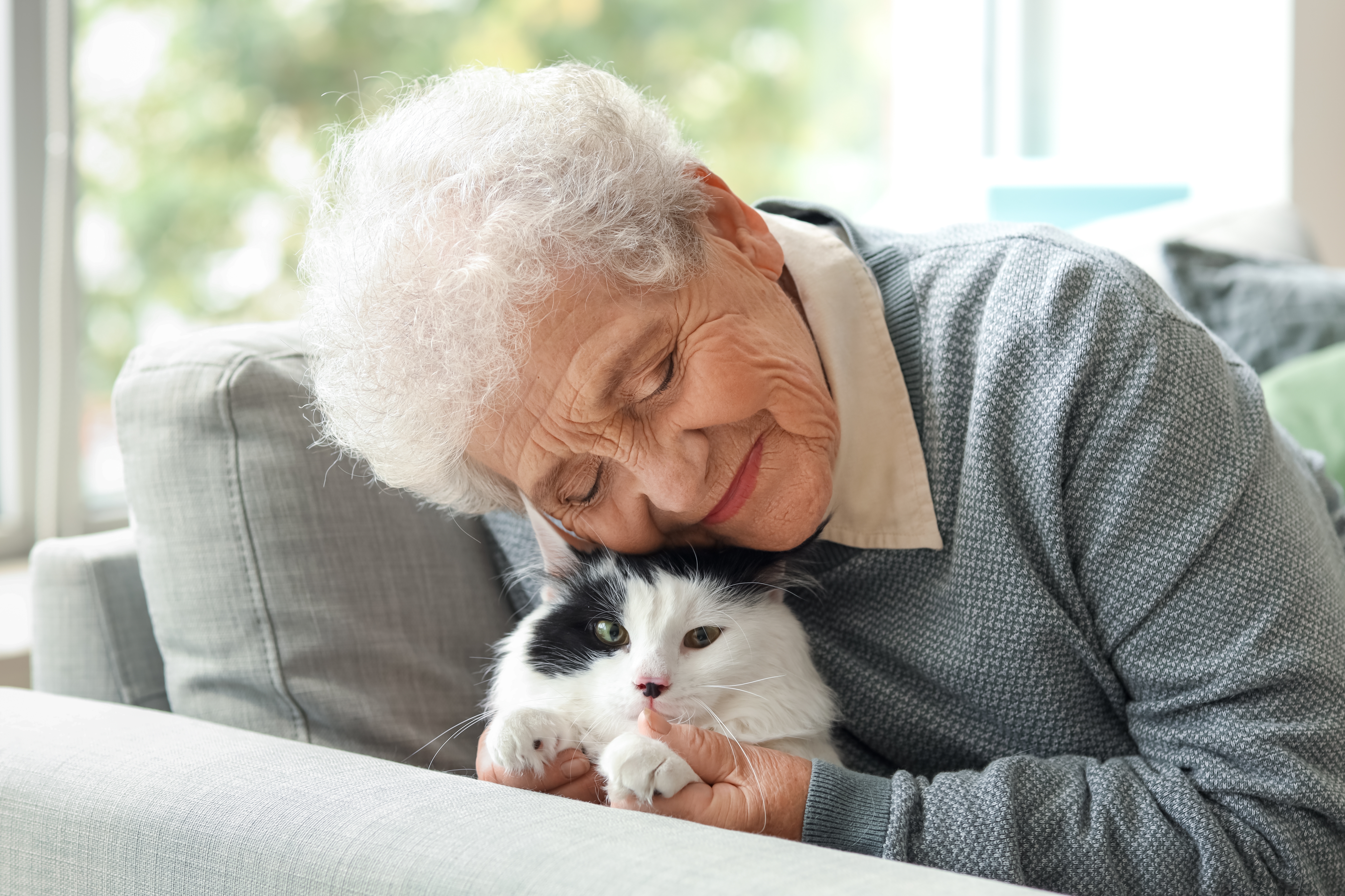 Una mujer mayor con su adorable gato. | Foto: Shutterstock