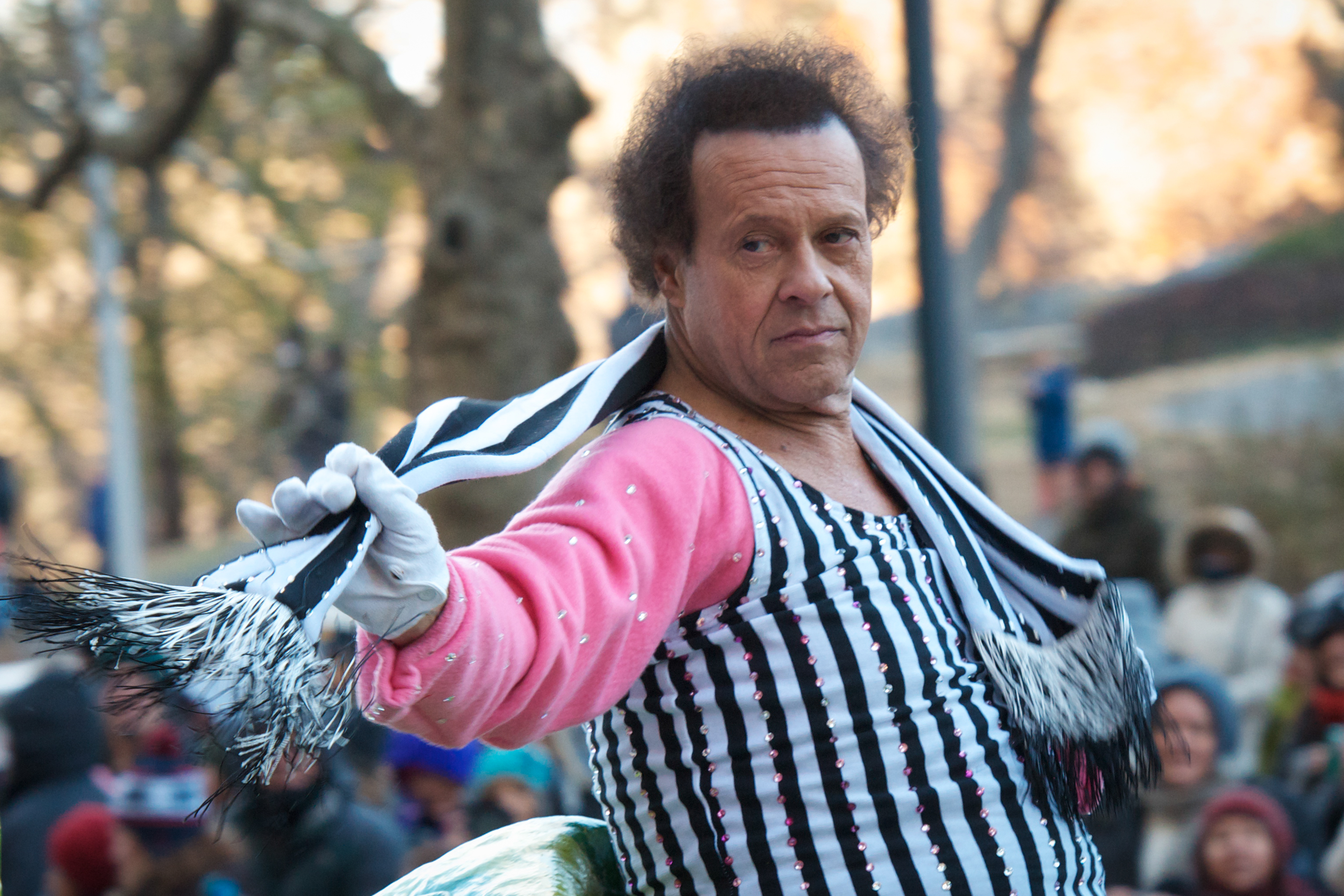 Richard Simmons asiste al 87º desfile anual del Día de Acción de Gracias de Macy's el 28 de noviembre de 2013 | Fuente: Getty Images