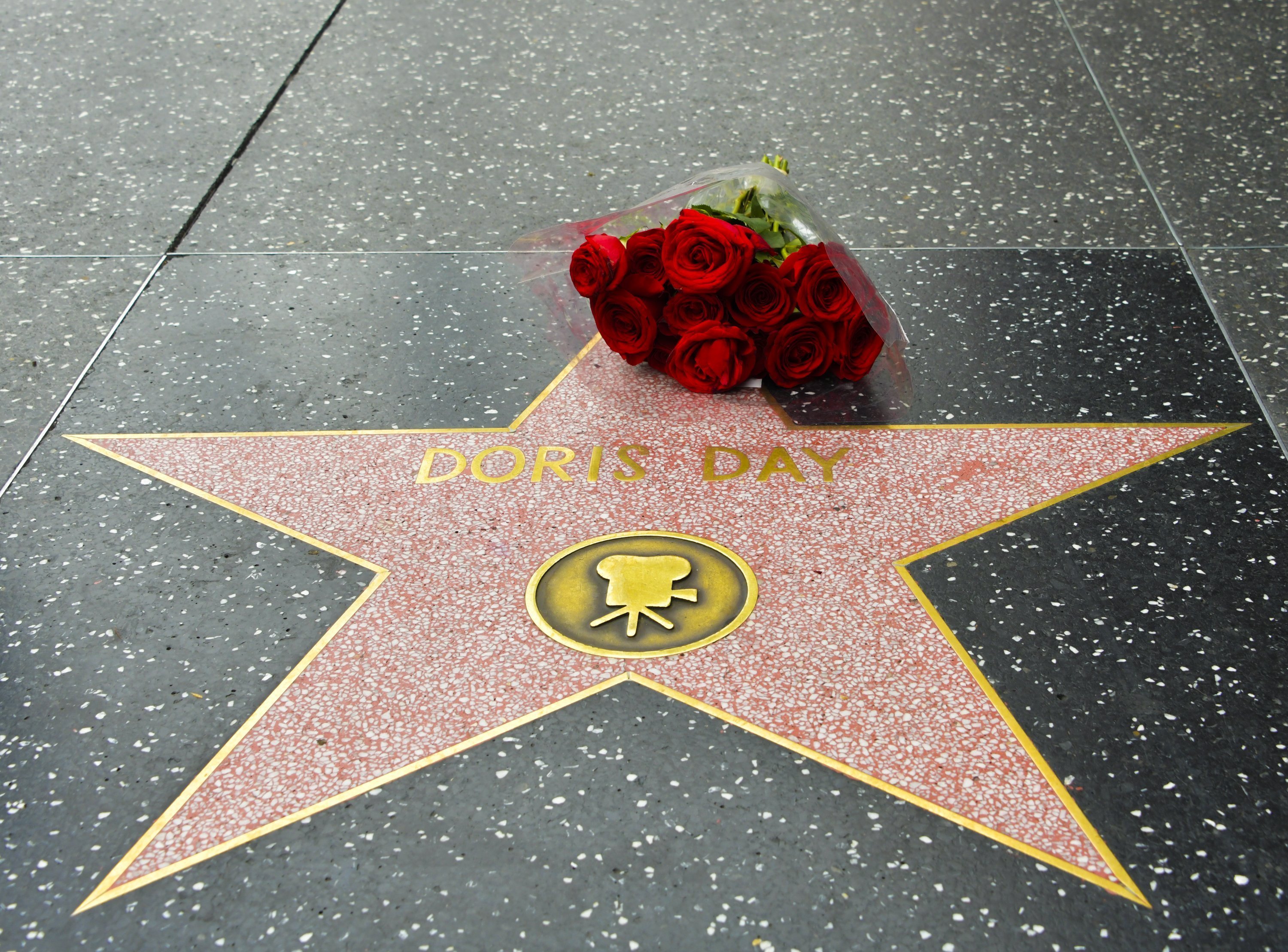 Flores colocadas en la estrella de Doris Day en el Paseo de la Fama de Hollywood, luego de la noticia de su muerte. || Fuente: Getty Images