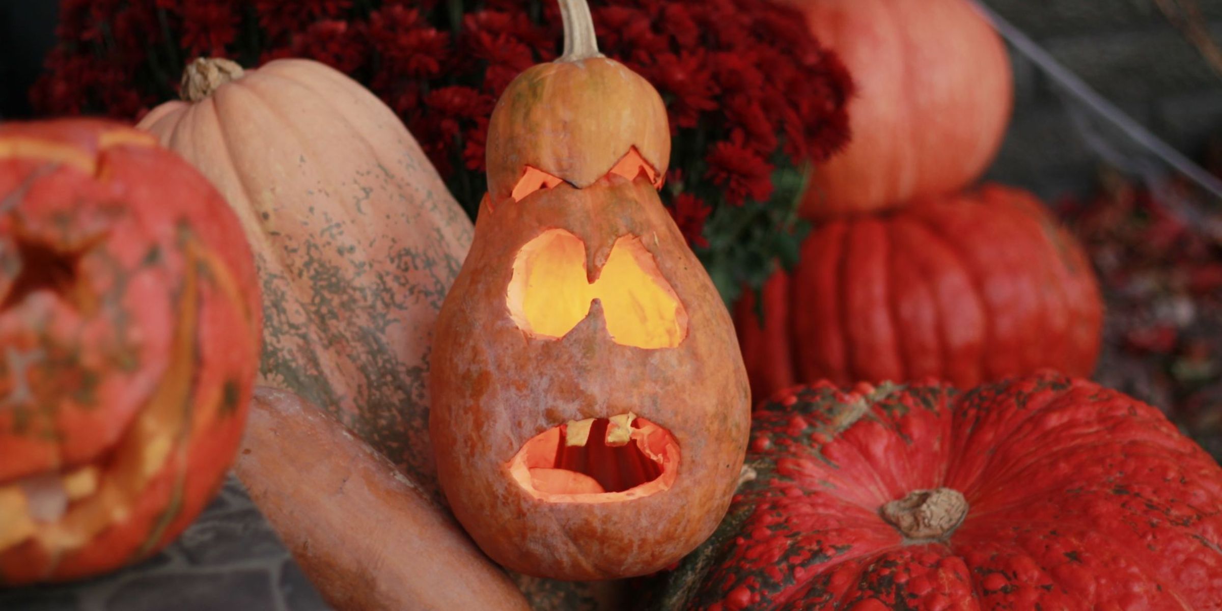 Decoraciones de Halloween | Fuente: Pexels