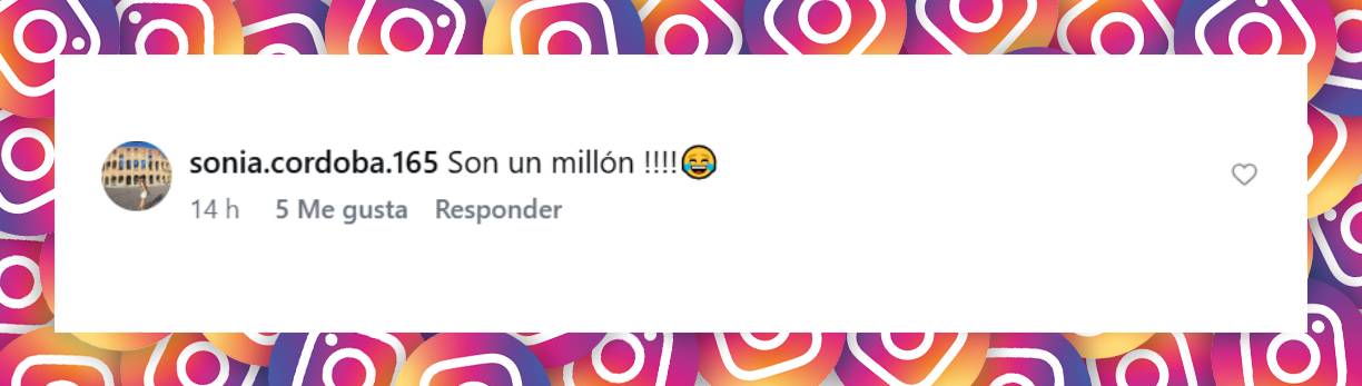 Comentario de una usuaria sobre la numerosa familia de las Trillizas de Oro | Fuente: Instagram/revista_pronto