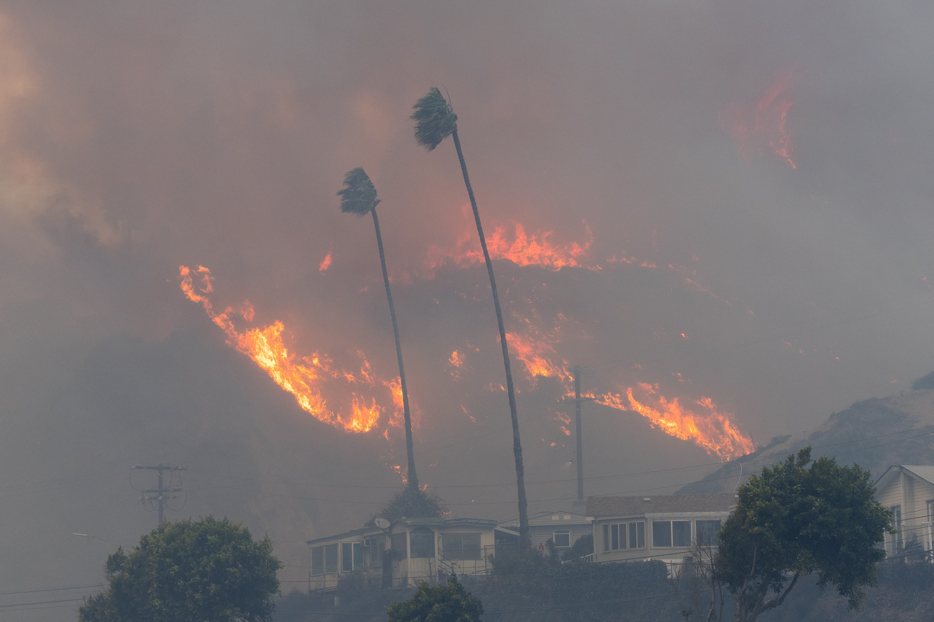 Incendio de matorrales en Pacific Palisades, California, el 7 de enero de 2025. | Fuente: Getty Images