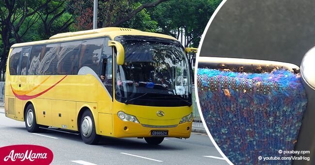 Momento impactante en el que una mujer halla "miles de chinches" en el asiento de un autobús