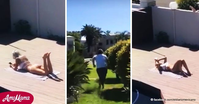 Hombre vio a extraño espiando a su mujer en bikini. Entonces tomó una cámara y corrió tras él