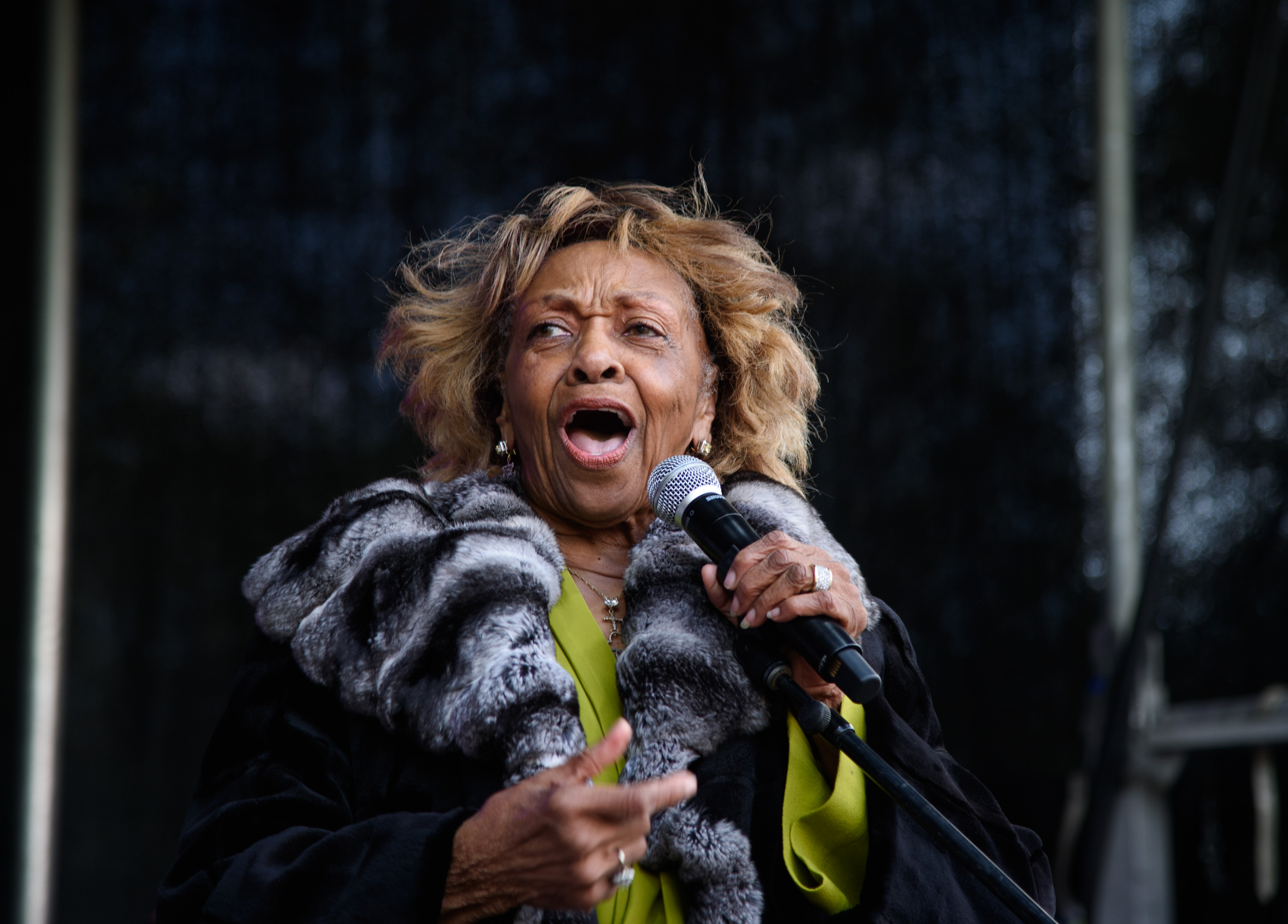 Cissy Houston en el Festival Newark Celebration 350 Founders Weekend 2016 en Newark, Nueva Jersey, el 15 de mayo de 2016 | Fuente: Getty Images