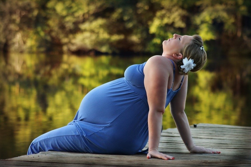 Mujer embarazada / Imagen tomada de: Pixabay