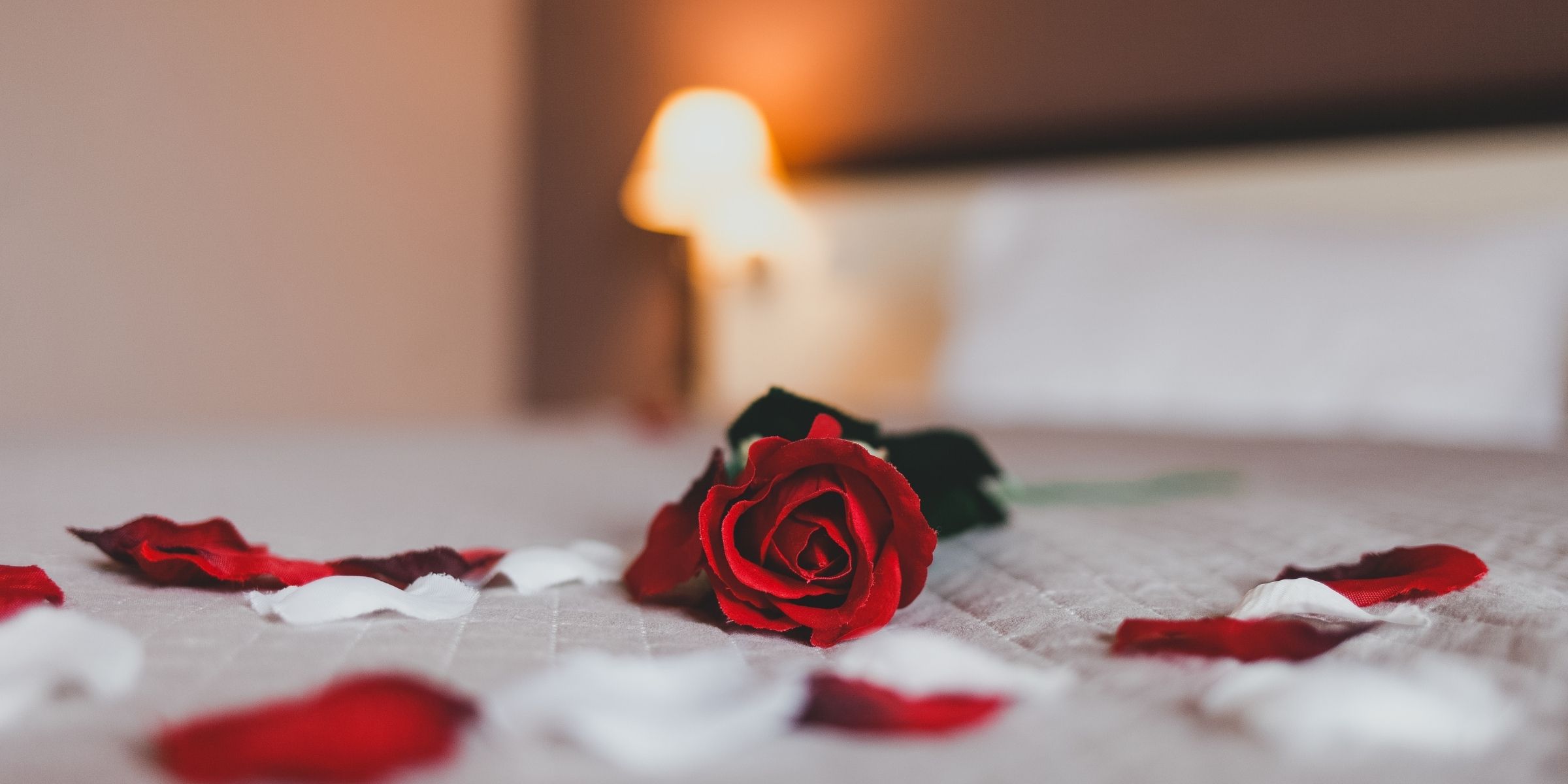 Primer plano de una rosa roja tirada en una cama | Fuente: Shutterstock