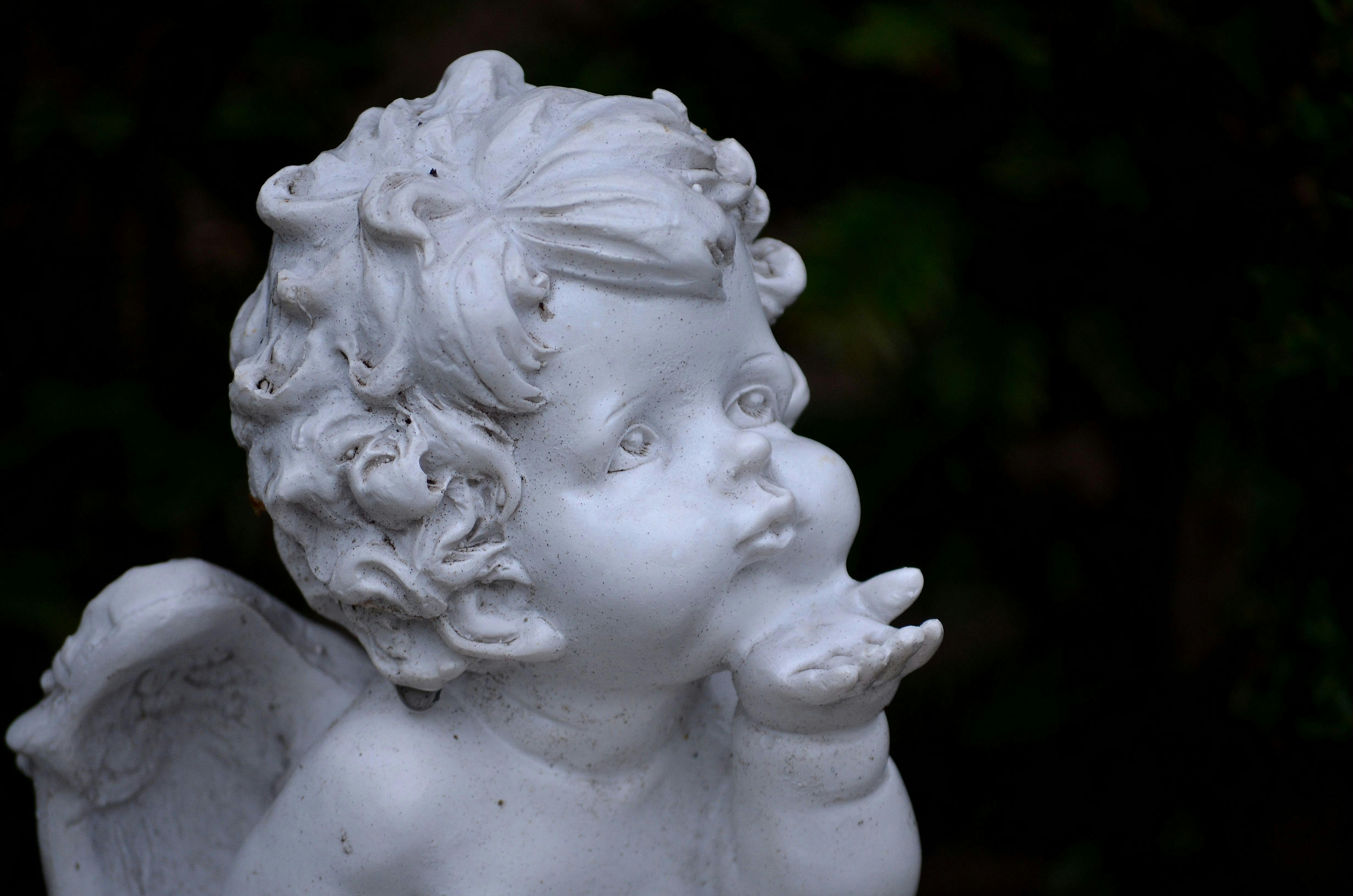 Imagen con fines ilustrativos | Foto: Pexels