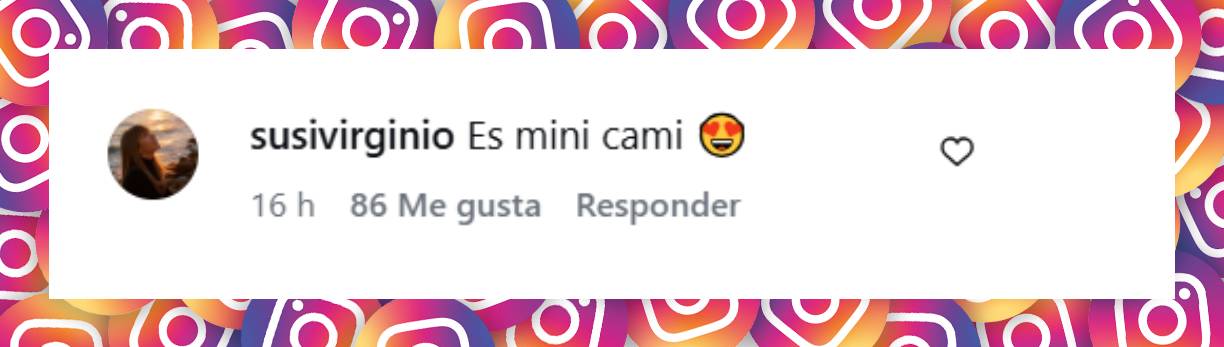 Comentario de una usuaria | Fuente: Instagram/todonoticias