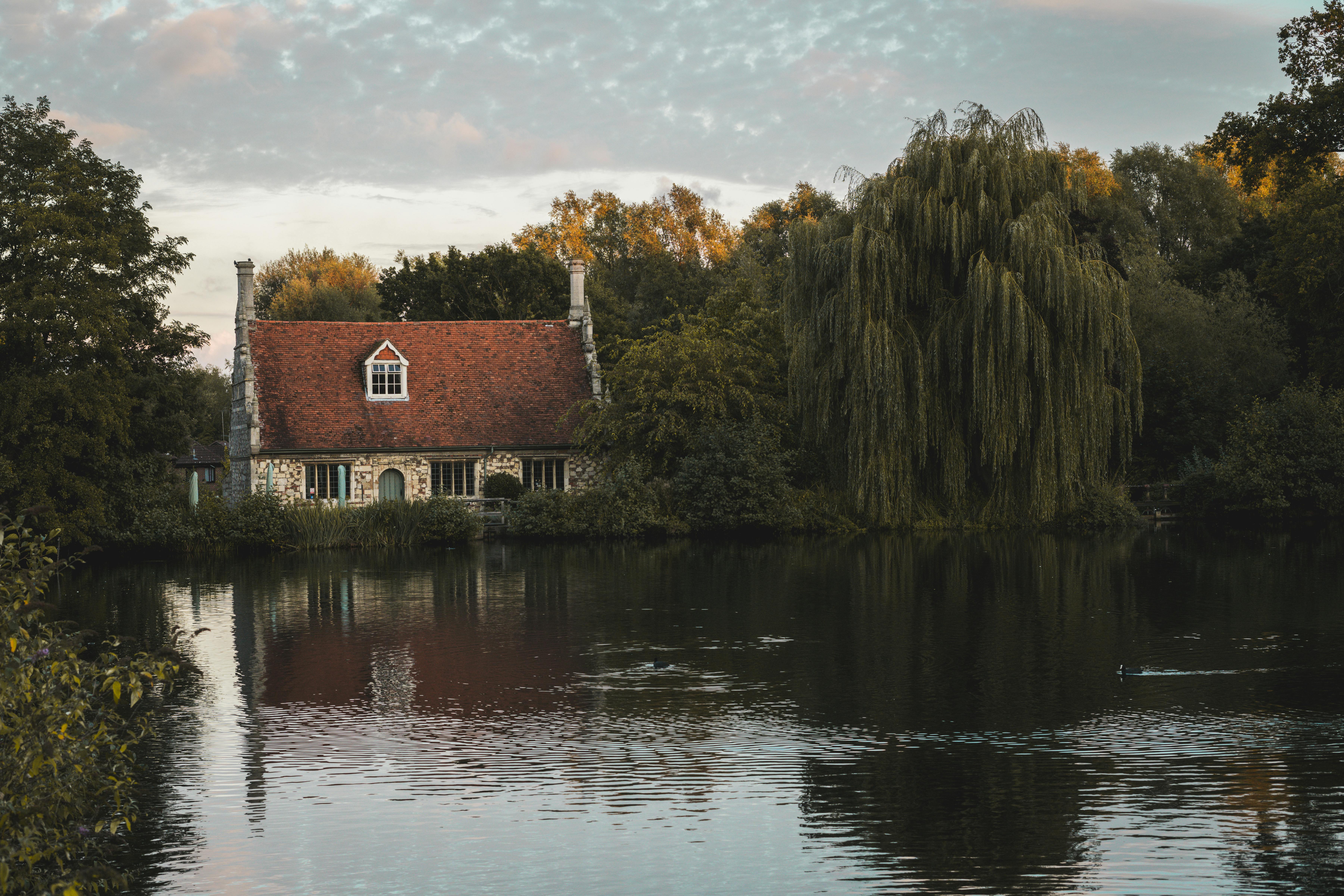 Imagen con fines ilustrativos | Foto: Pexels