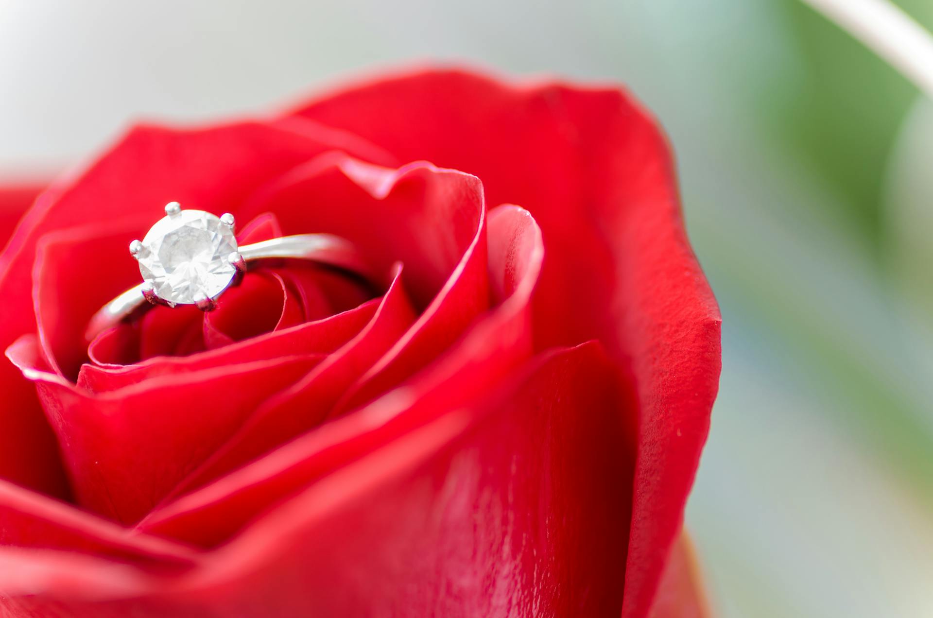 Un anillo de compromiso encajado en una rosa | Fuente: Pexels