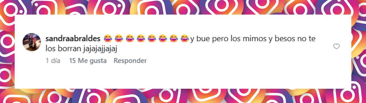 Comentario de una usuaria | Fuente: Instagram/noeliamarzolok