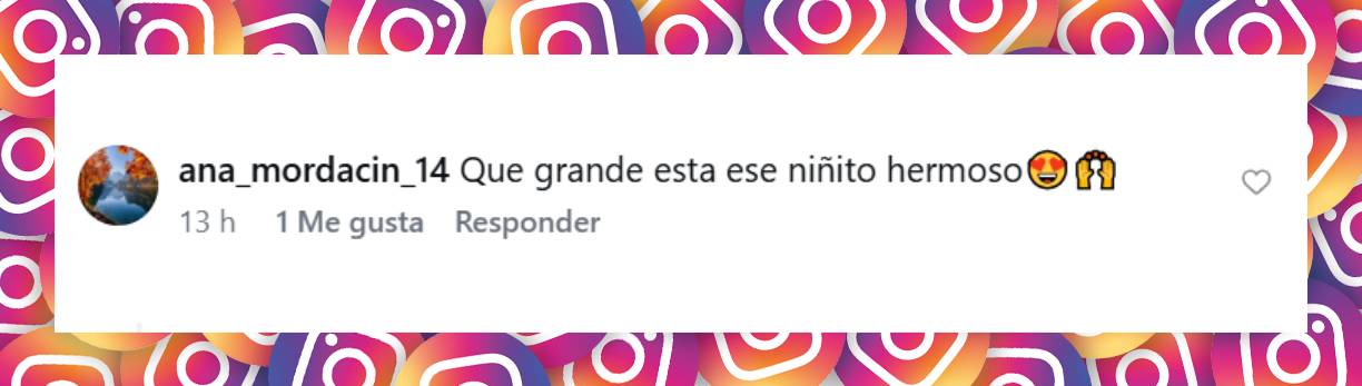 Comentario de una seguidora | Fuente: Instagram/lizytagliani