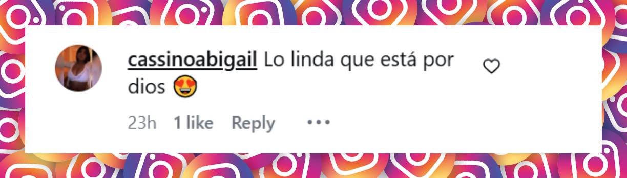 Comentario de una usuaria | Fuente: Instagram/orianasabatini