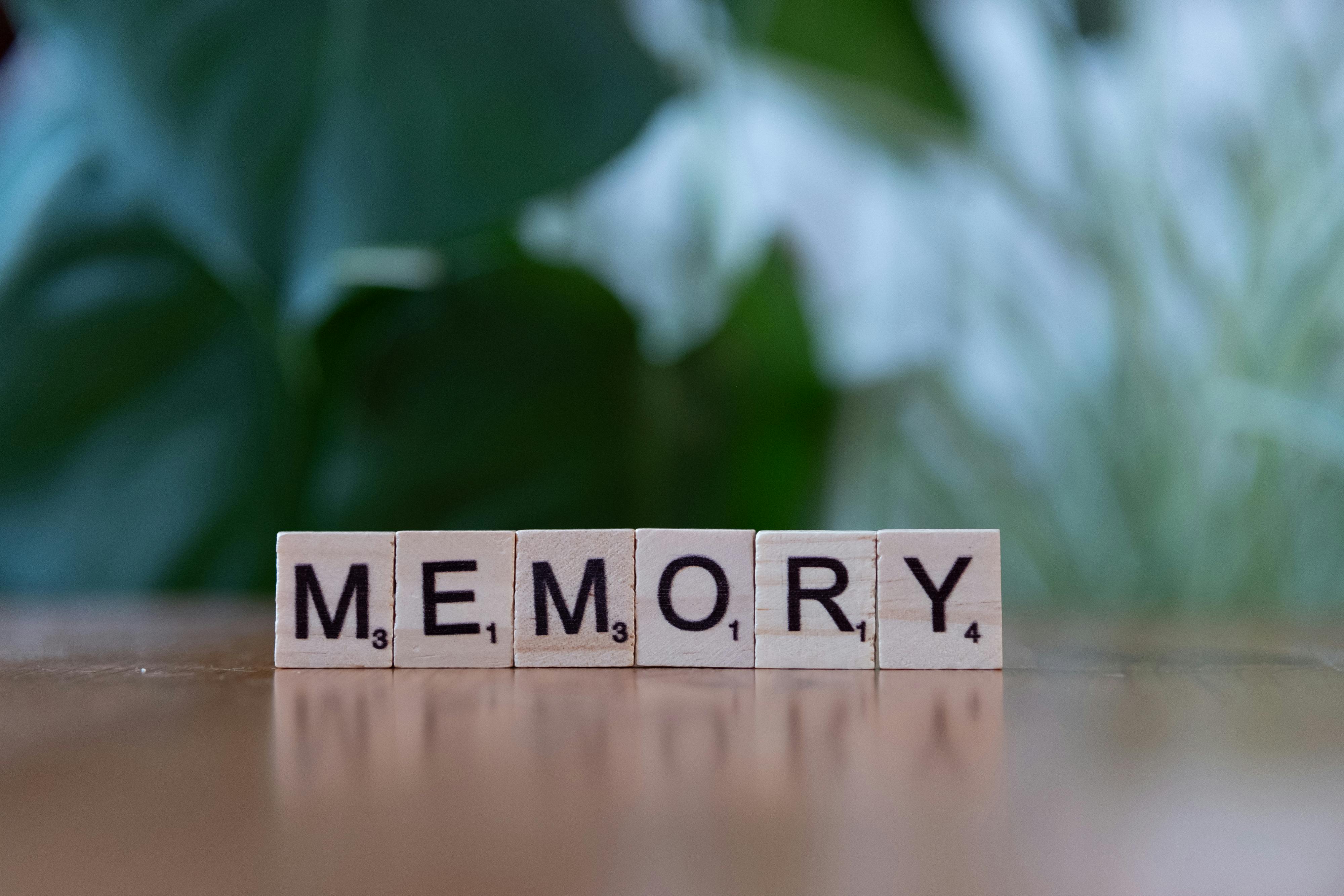 Imagen con fines ilustrativos | Foto: Pexels