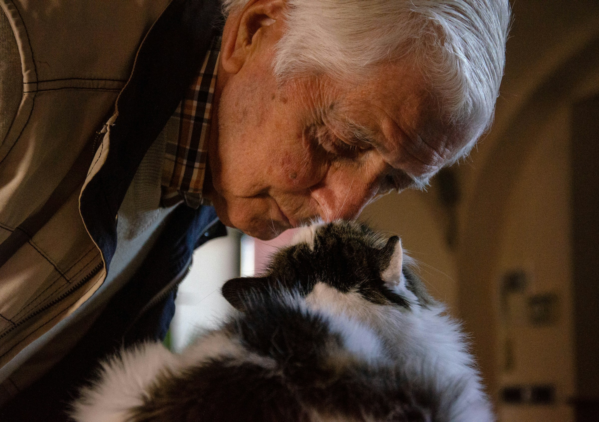 Un anciano con un gato | Foto: Unsplash