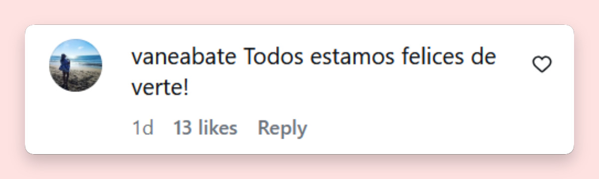 Comentario de una persona sobre la llegada de Lionel Messi al predio de la Selección Argentina para disputar su esperado partido de despedida | Fuente: Instagram/afaseleccion