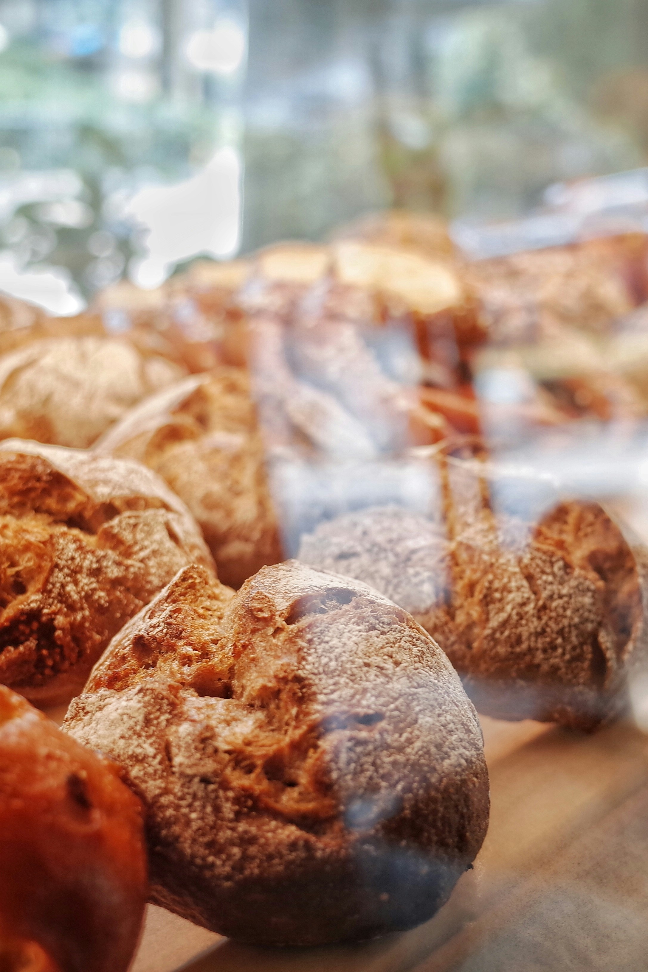 Primer plano de panecillos expuestos en una panadería | Fuente: Unsplash