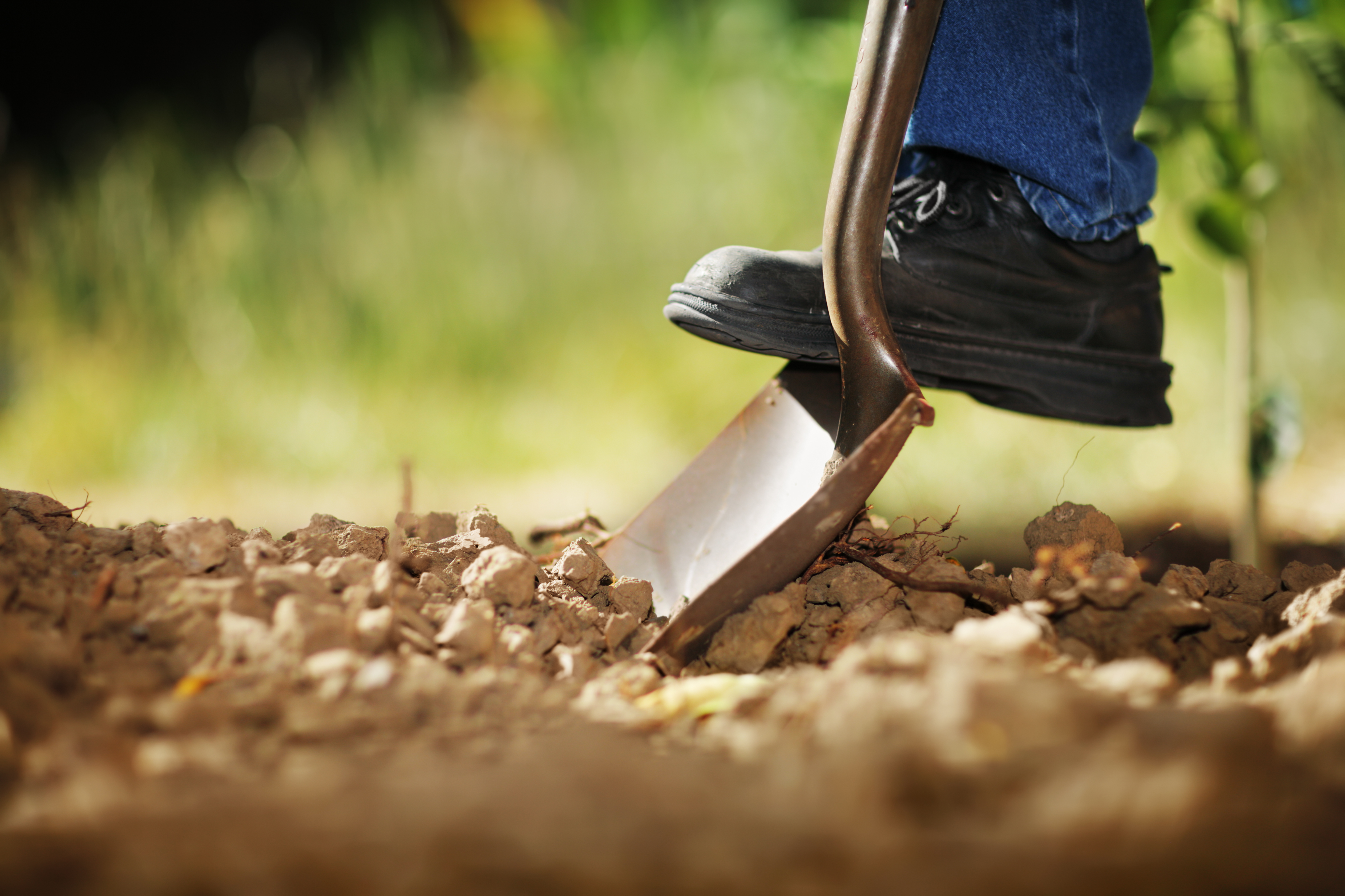Persona cavando con una pala | Foto: Shutterstock