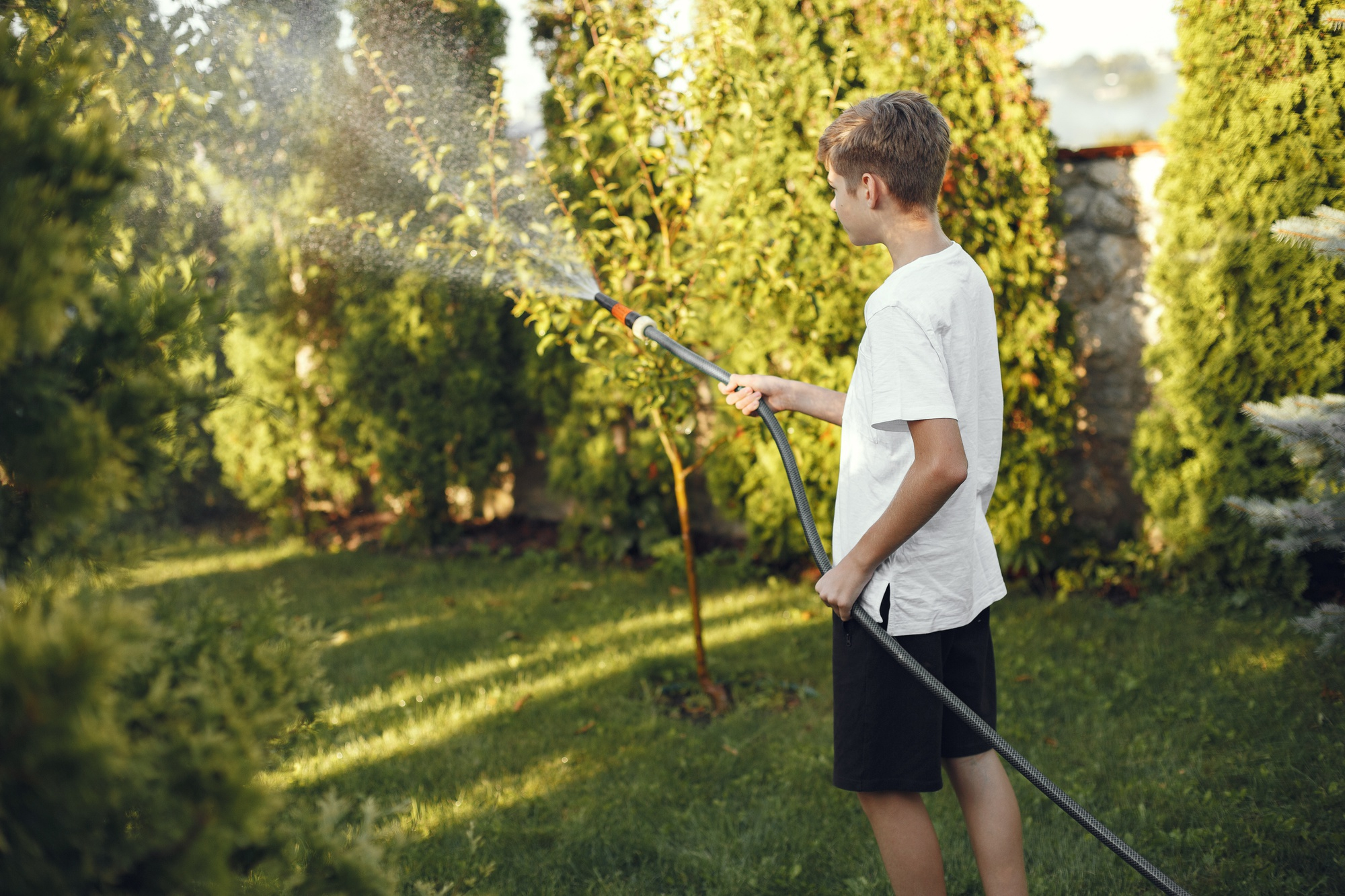 Un niño regando plantas | Fuente: Freepik