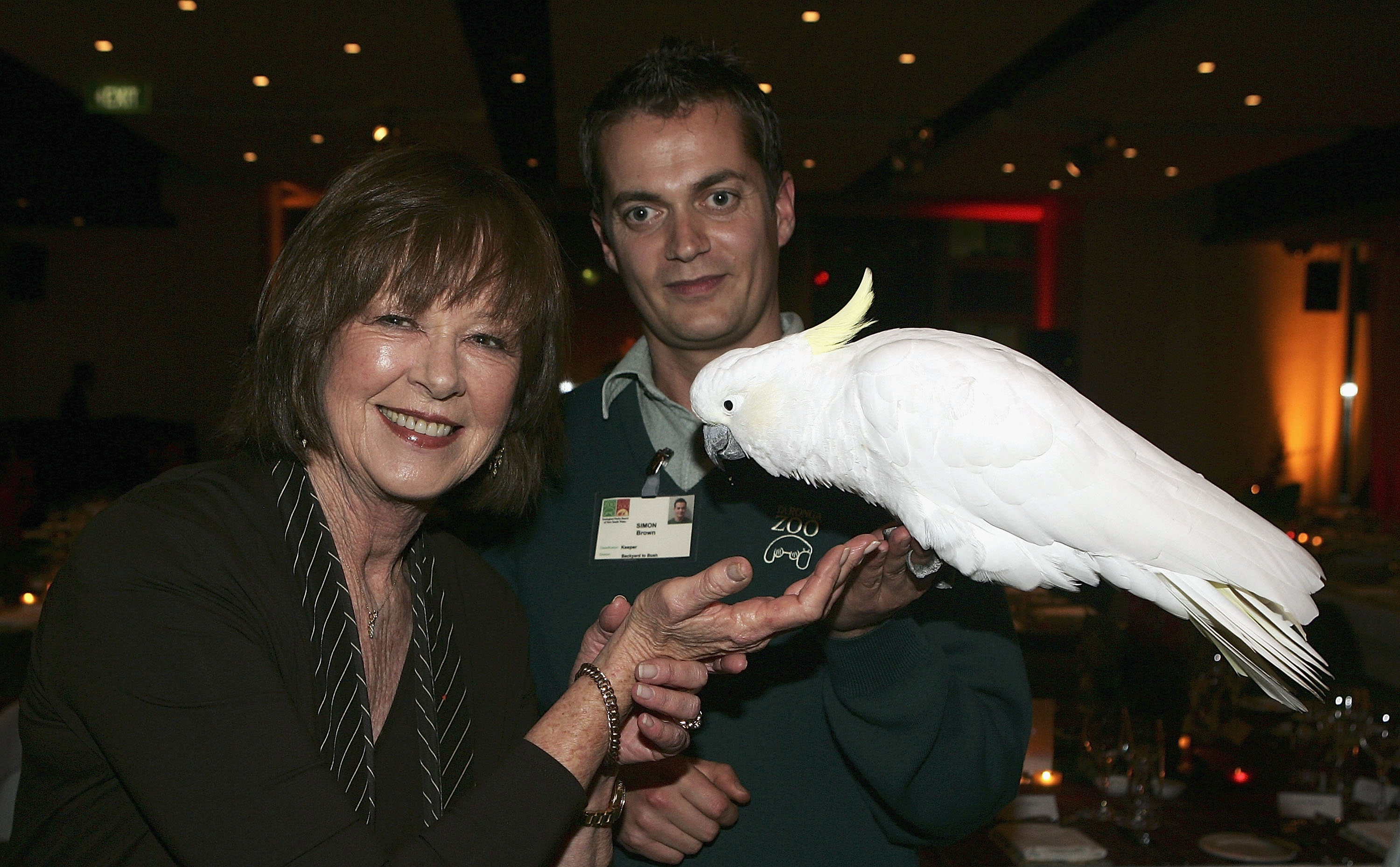 Janelle Anne Kidman intenta alimentar a Elliot, la cacatúa blanca que sostiene el cuidador del zoo Simon Brown, el 30 de junio de 2005, en Sidney, Australia | Fuente: Getty Images