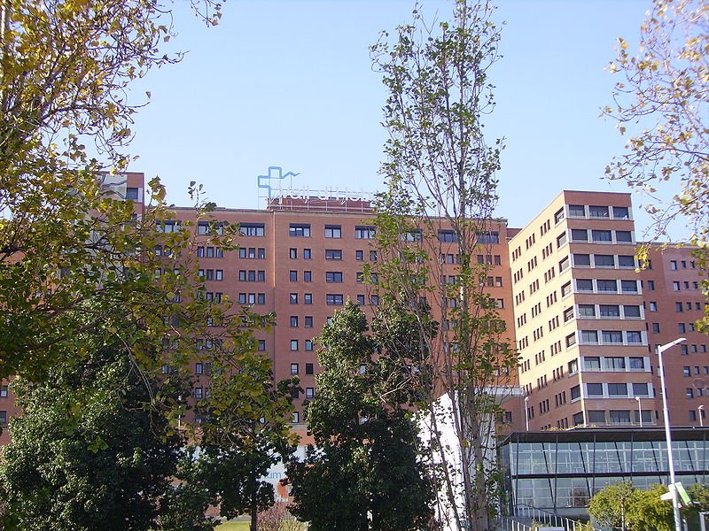 Hospital Universitario Vall d’Hebron de Barcelona. | Imagen: Wikipedia