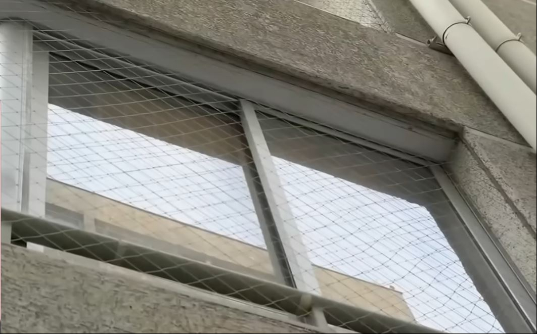 Una ventana con protección | Fuente: YouTube/Meganoticiasoficial