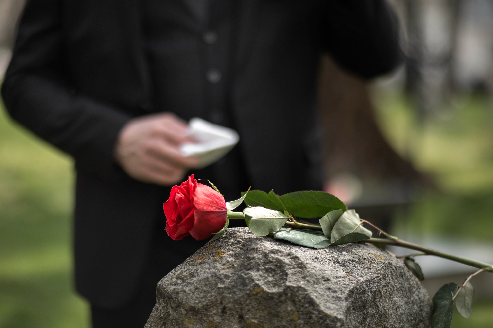 Una rosa sobre una lápida | Fuente: Freepik