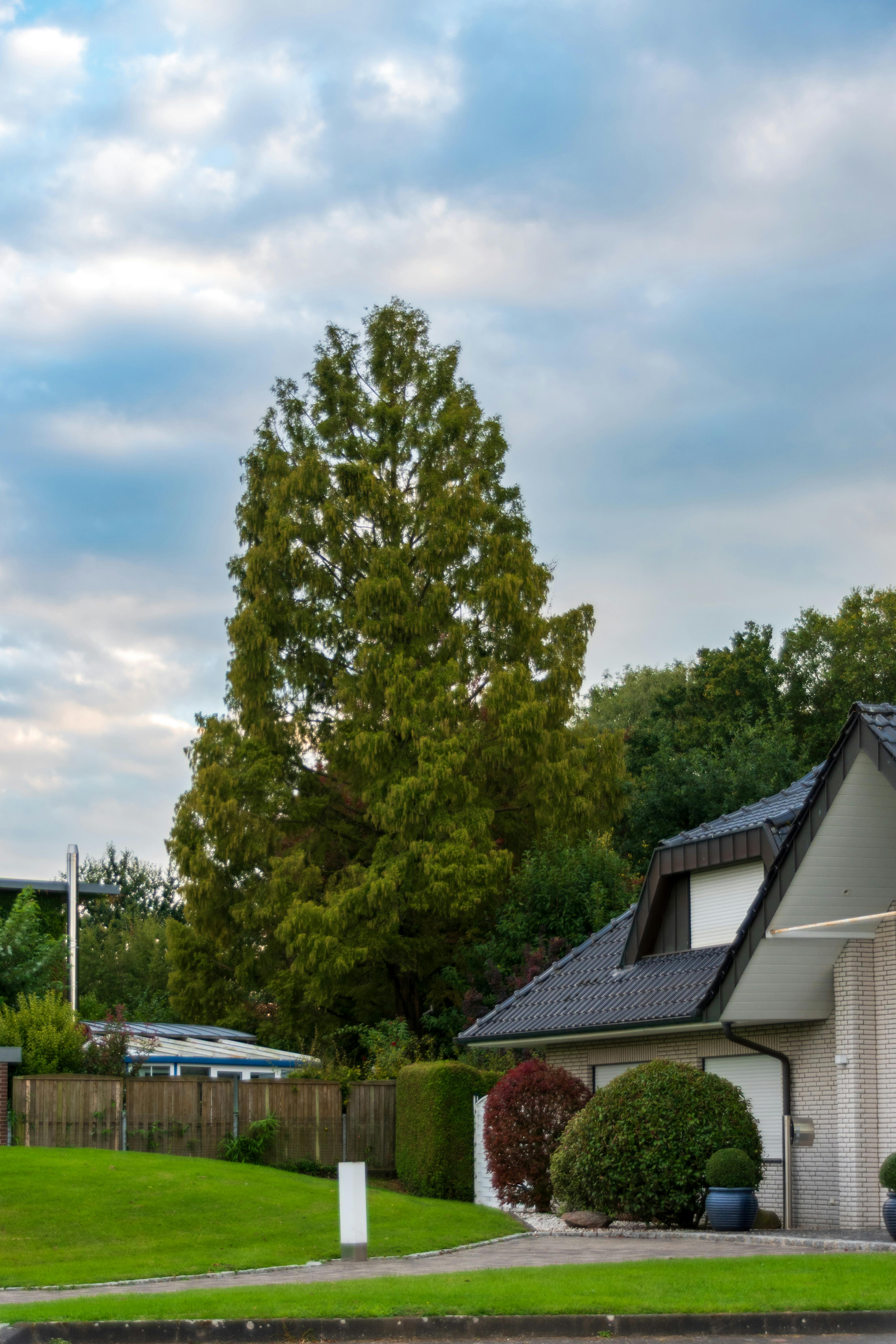 Una casa in un bel quartiere | Fonte: Pexels