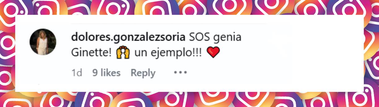 Comentario de una usuaria | Fuente: Instagram/reynalgina