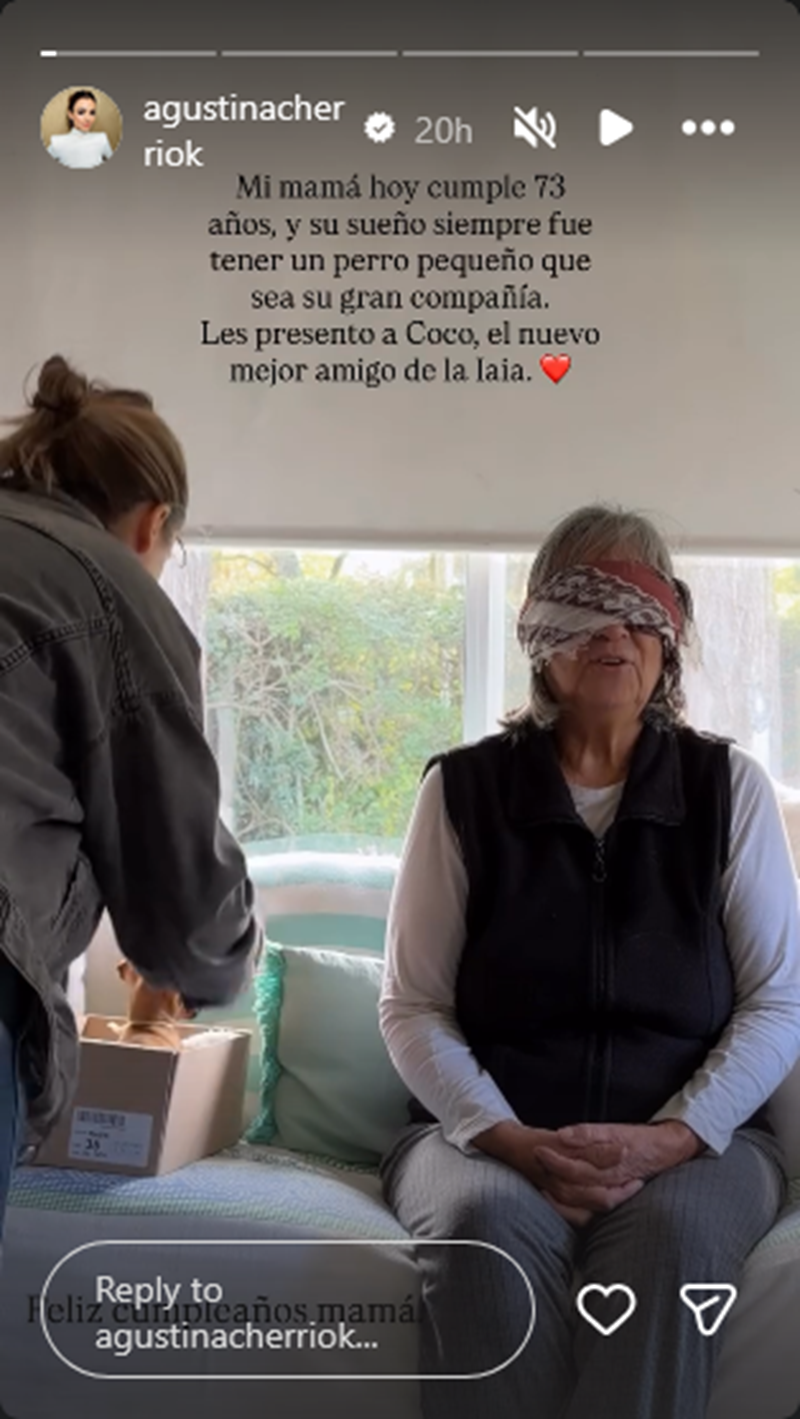 Agustina Cherri sorprendiendo a su madre, Silvia Bidueiros, con un regalo | Fuente: Instagram Stories/agustinacherriok