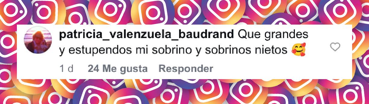 Comentario a la publicación de Gonzalo Valenzuela. | Fuente: instagram.com/gonzalovalenzuelaoficial