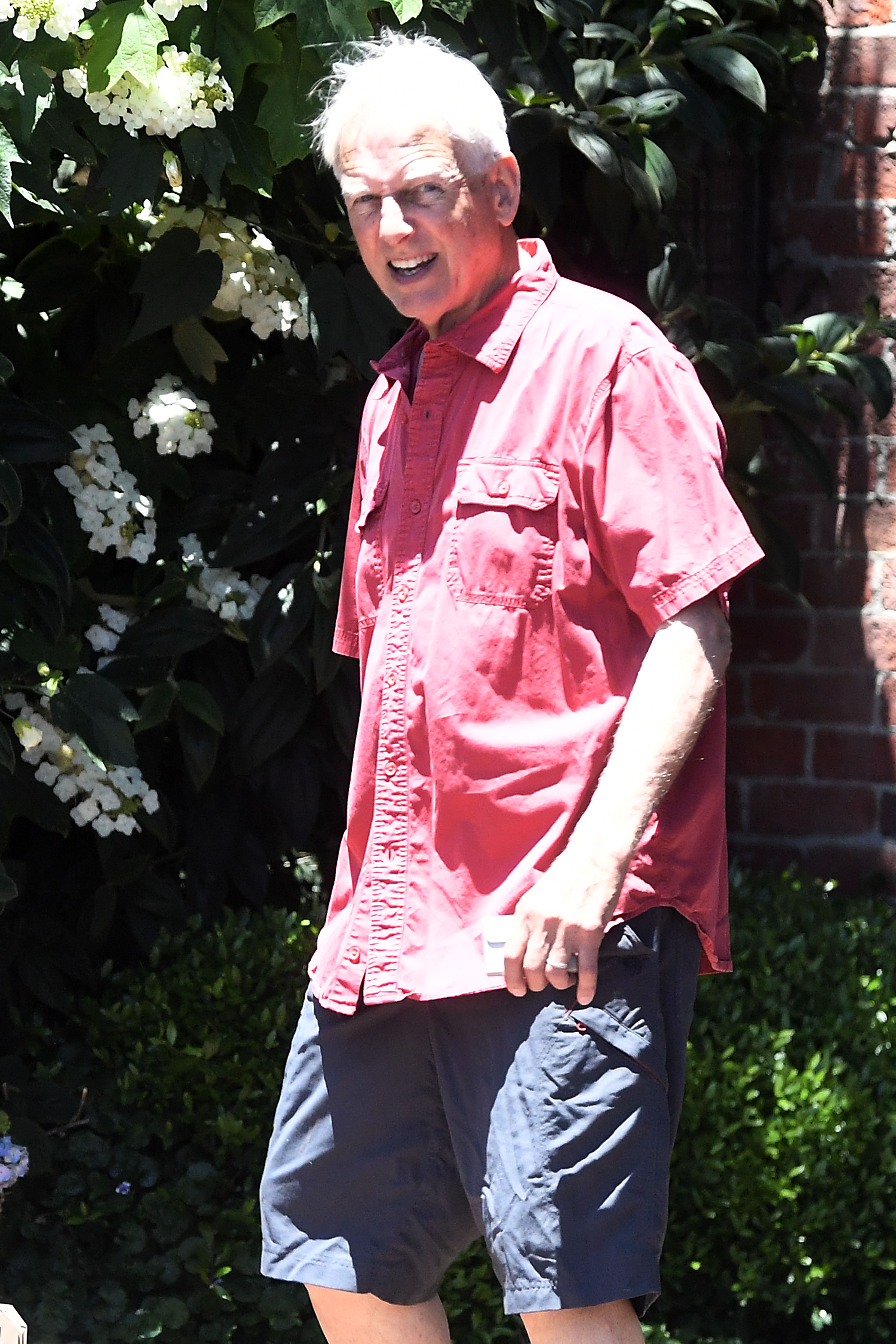 Mark Harmon fotografiado haciendo recados el 22 de junio de 2024, en Los Ángeles, California. | Fuente: Getty Images