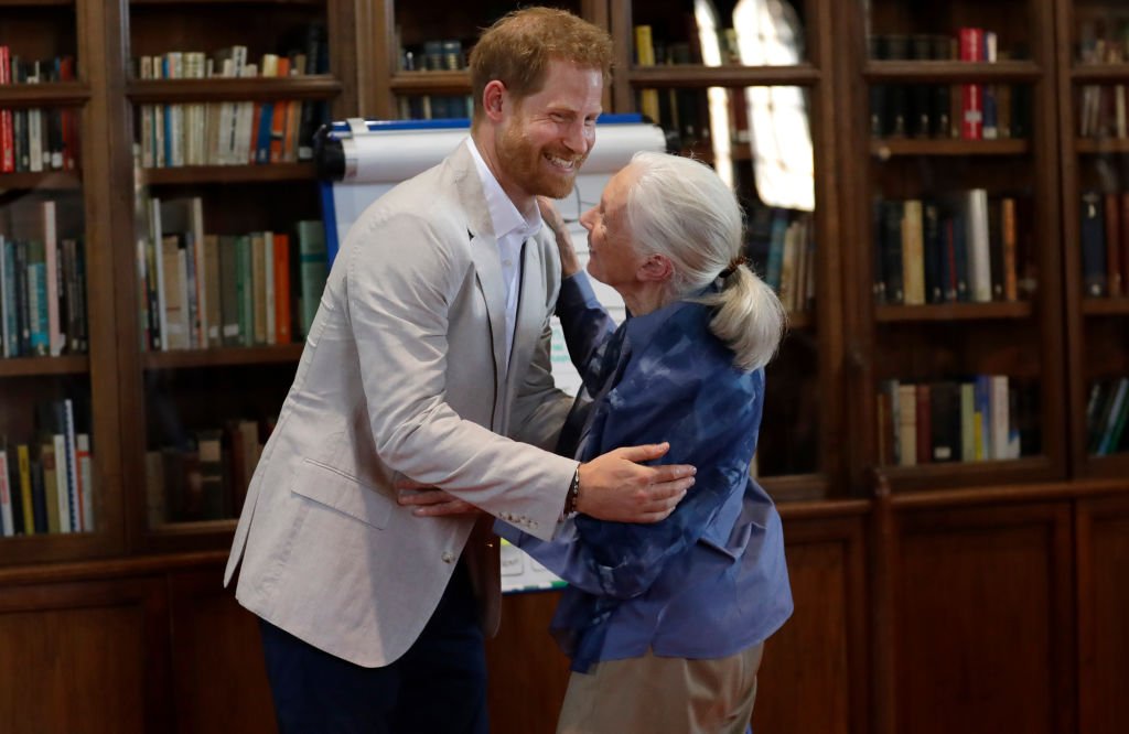 El príncipe Harry, duque de Sussex y la doctora Jane Goodall se abrazan mientras asiste a la reunión de liderazgo mundial de Roots & Shoots en el Castillo de Windsor. | Imagen: Getty Images