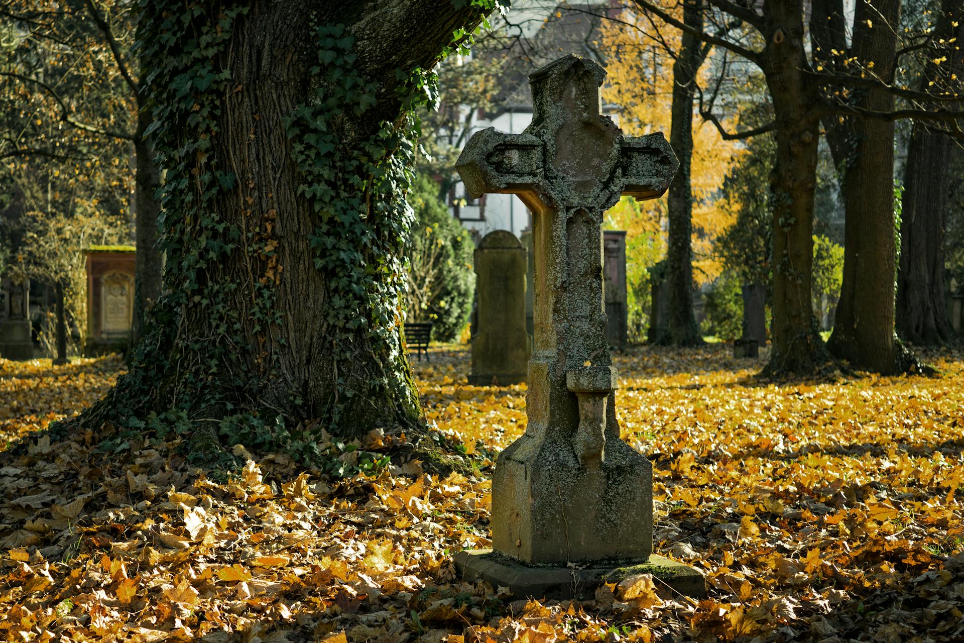 Una cruz de hormigón en un cementerio | Fuente: Pexels