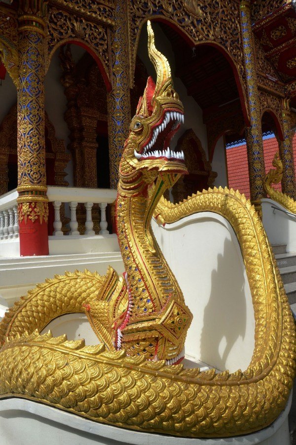 Serpiente china. | Foto: Pxhere