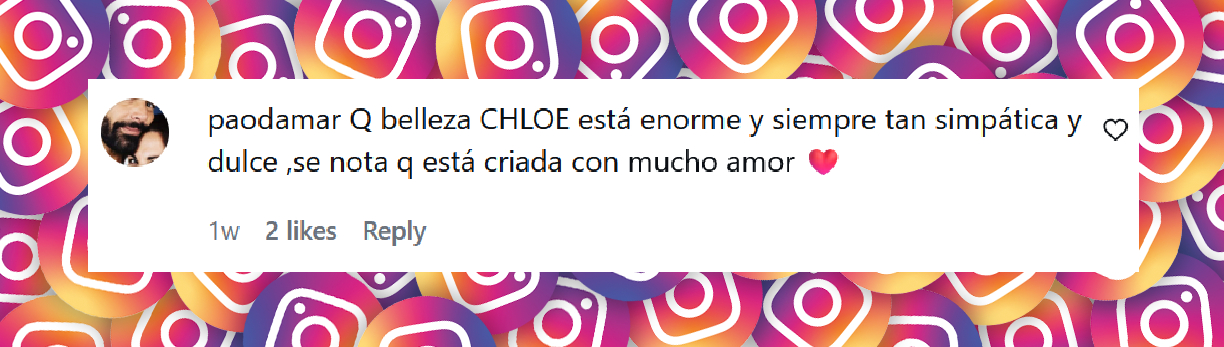 Comentario de una persona sobre Chloe, la hija de Jésica Cirio y Martín Insaurralde | Fuente: Instagram/jesicacirio