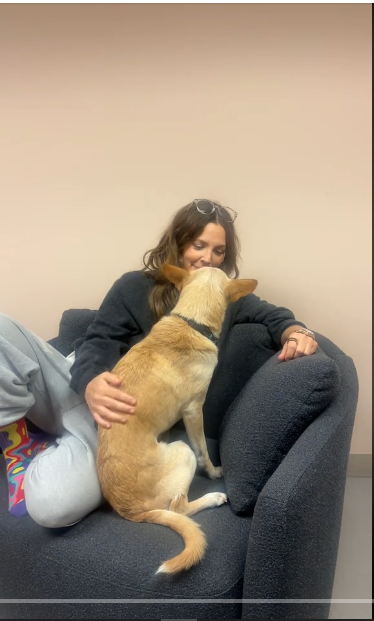Drew Barrymore en su casa, relajándose con su perro de un post de TikTok del 4 de abril de 2024 | Fuente: Tiktok/@drewbarrymore