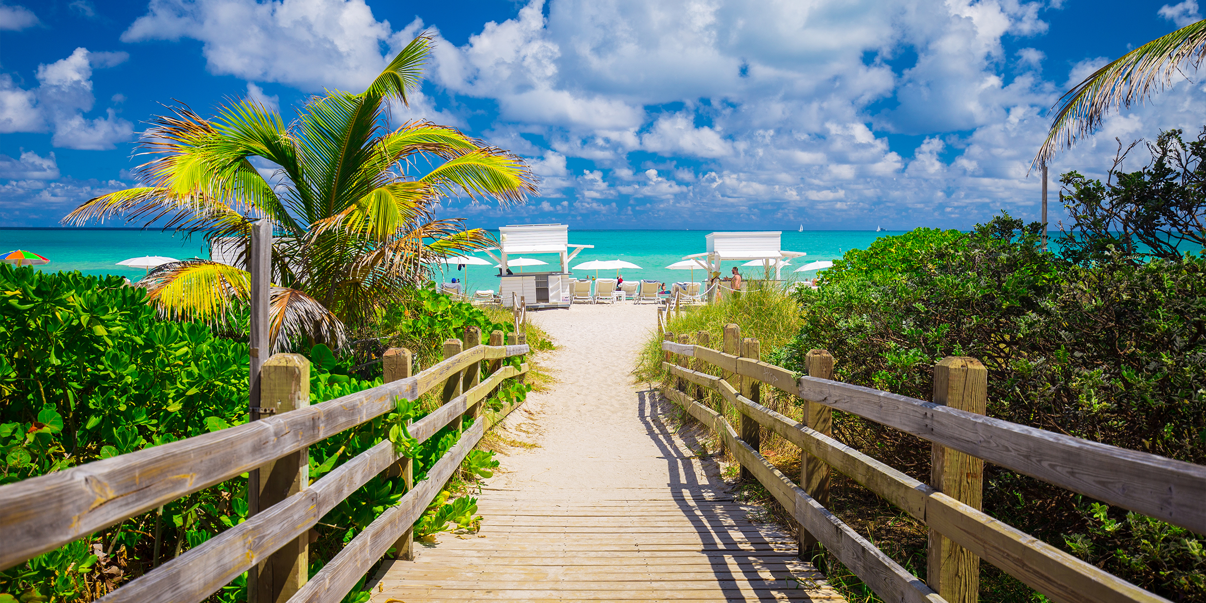 Un camino que conduce a una playa | Fuente: Shutterstock