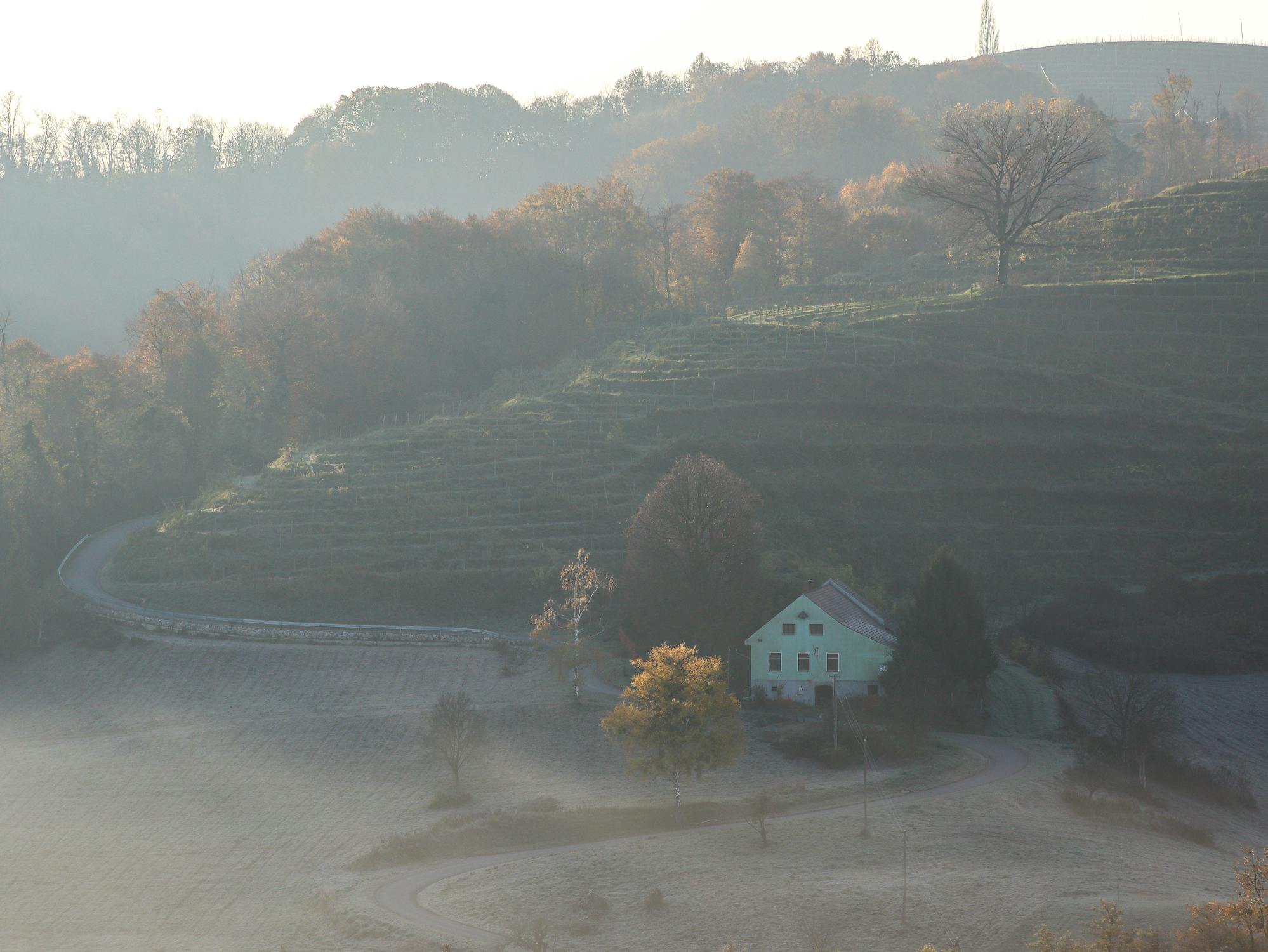 Una brumosa mañana de otoño | Fuente: Pexels