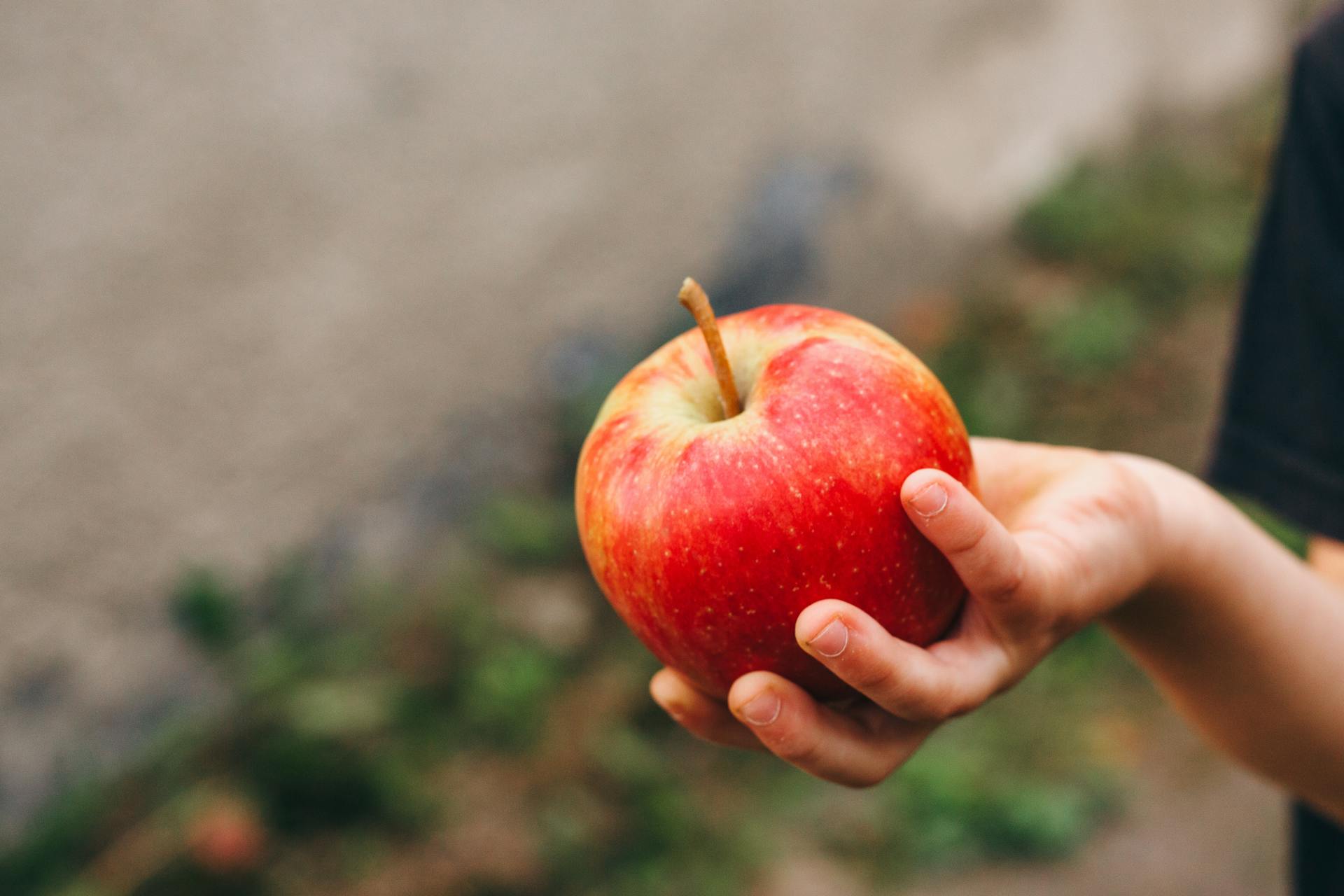 Una manzana en la mano de un niño | Fuente: Pexels