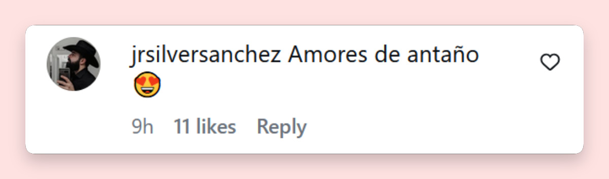 Comentario de una persona sobre la confesión de Ernesto Laguardia en "La Casa de Los Famosos" sobre el romance que tuvo con una cantante 19 años más joven que él | Fuente:: Instagram/lacasafamososmx