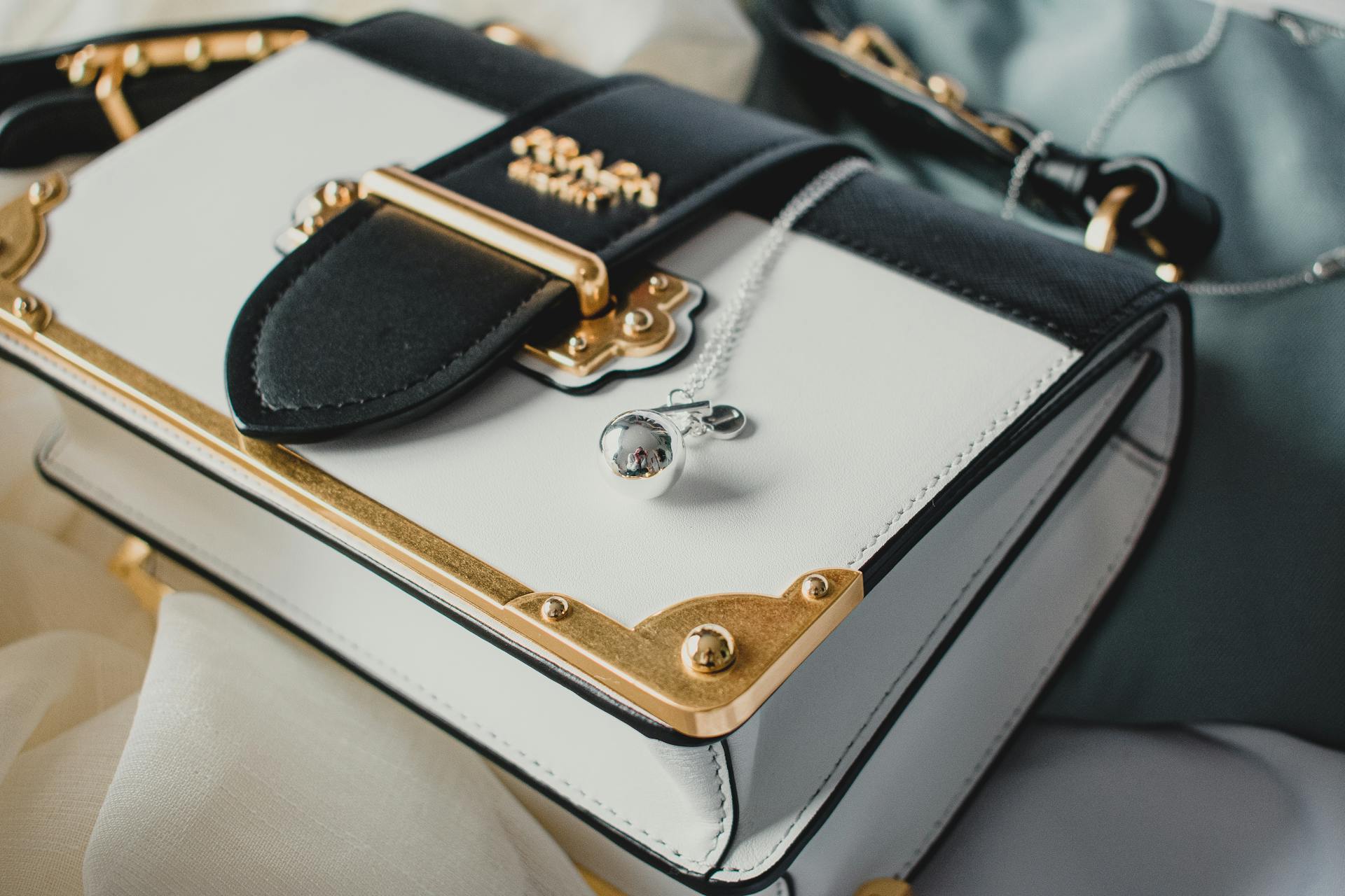 Primer plano de una bolsa | Fuente: Pexels