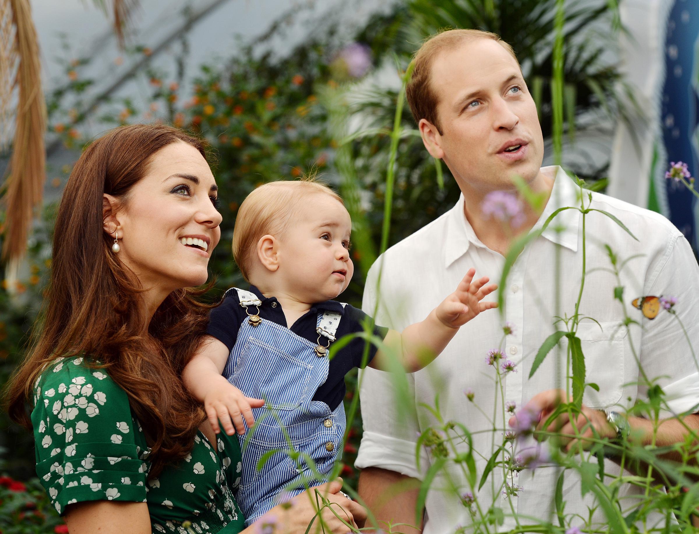 La princesa Catherine y el príncipe William con el príncipe George visitando la exposición Mariposas Sensacionales en el Museo de Historia Natural de Londres, Inglaterra, el 2 de julio de 2014 | Fuente: Getty Images