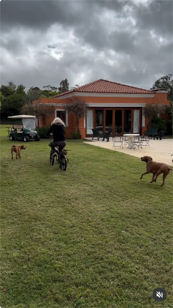 Susana Giménez durante un paseo en bicicleta en el jardín de su mansión junto a sus perritos | Fuente: Instagram/gimenezsuok