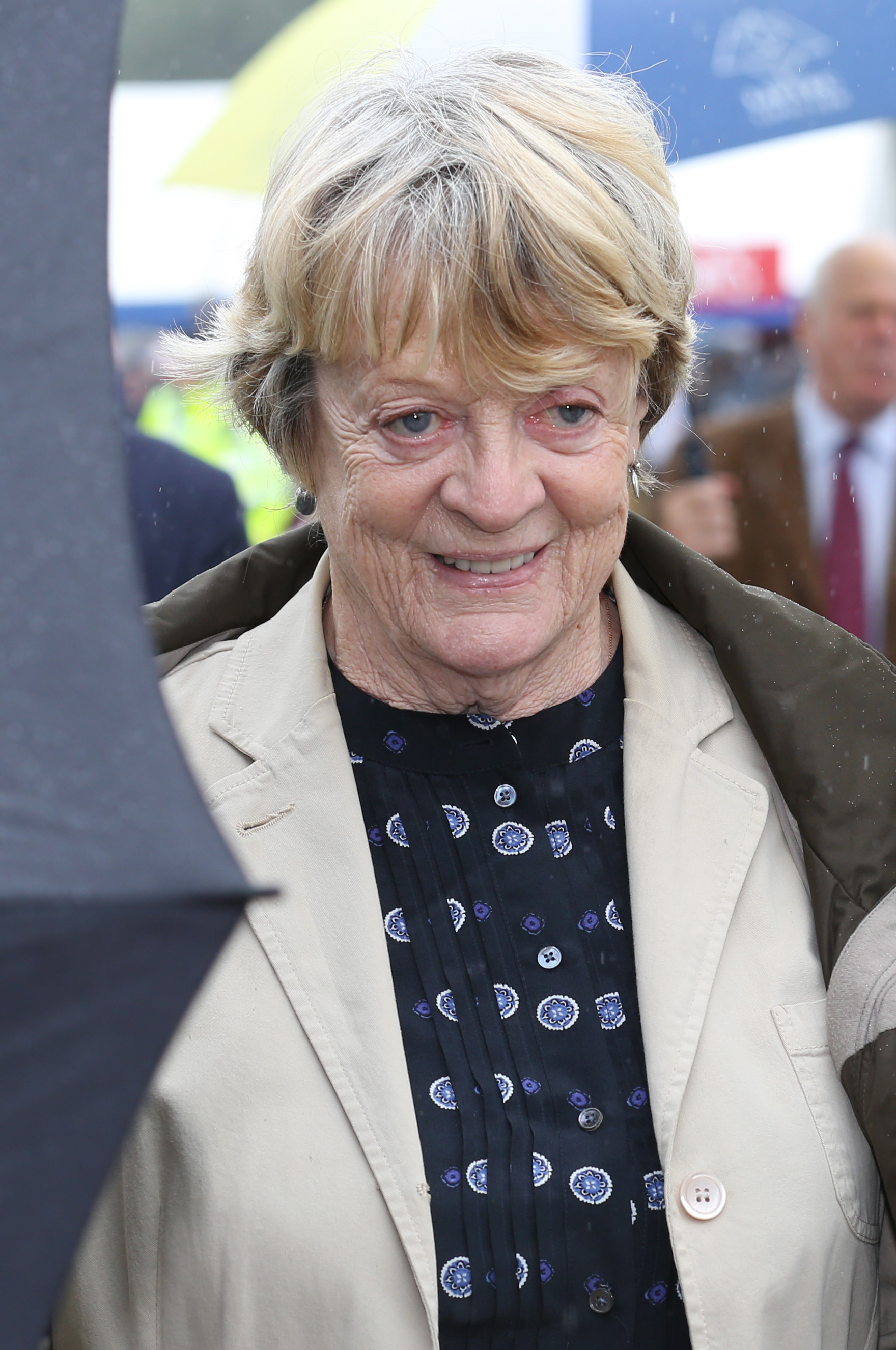 Maggie Smith en la 132ª Exposición de Flores de Sandringham el 31 de julio de 2013 en Norfolk, Inglaterra | Fuente: Getty Images