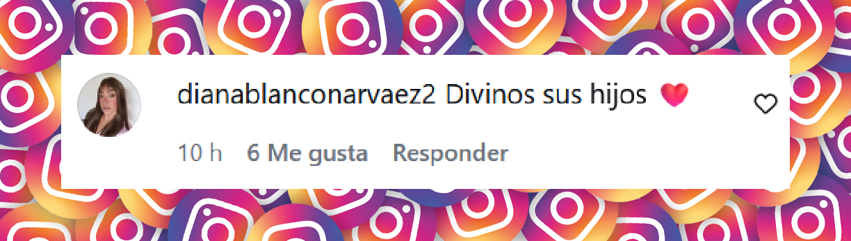 Comentario de una usuaria sobre la apariencia de los hijos gemelos de Ricky Martin | Fuente: Instagram/cosasperu