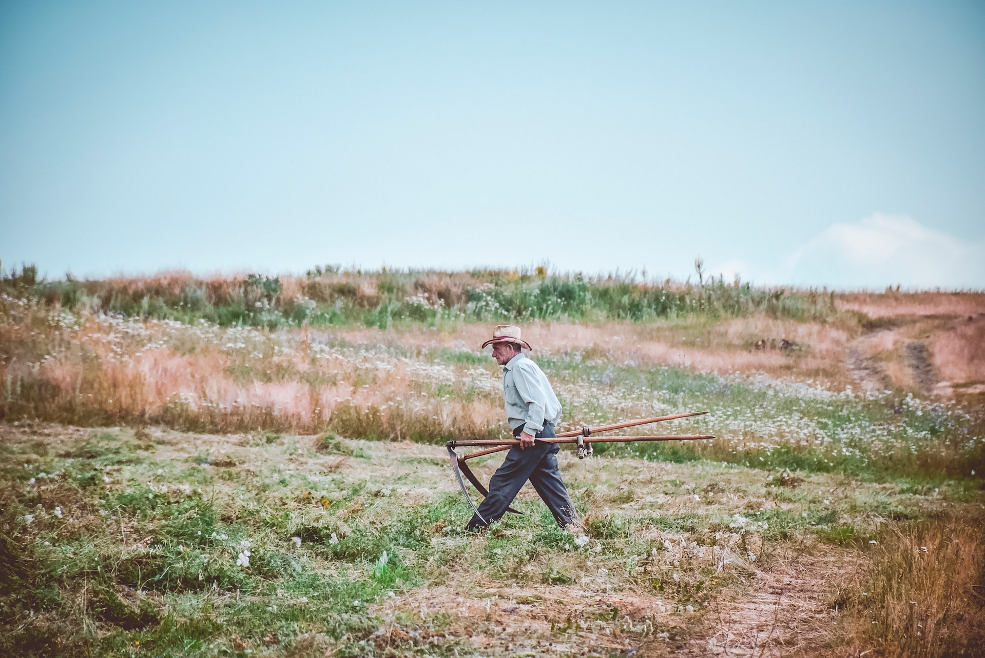Un hombre caminando por una granja | Fuente: Pexels