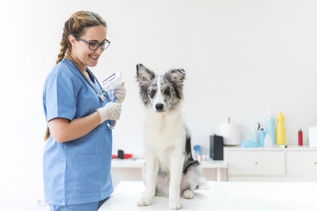 Veterinaria posando con paciente canino. │Foto: Freepik