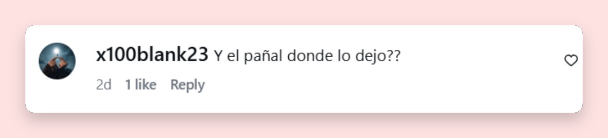 Comentario de un usuario sobre el atuendo de Sofía Castro | Fuente: Instagram/sofia_96castro